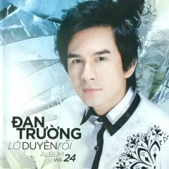 Lời bài hát Đau Xót Lý Con Cua (Remix) – Đan Trường