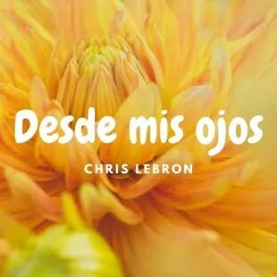 Lời bài hát Desde mis ojos - Chris Lebron