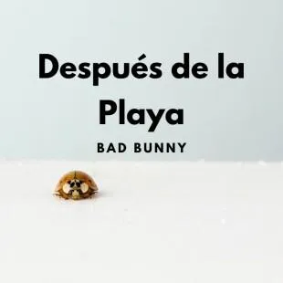 Lời bài hát Después de la Playa - Bad Bunny | Después de la Playa Lyrics