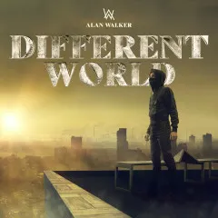 Lời bài hát Diamond Heart – Alan Walker, Sophia Somajo