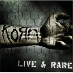 Lời bài hát Did My Time [Live] – Korn