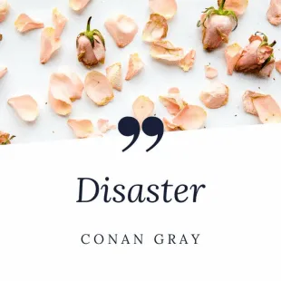 Lời bài hát Disaster - Conan Gray | Disaster Lyrics