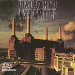 Lời bài hát Dogs – Pink Floyd