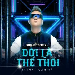 Lời bài hát Đời Là Thế Thôi Remix Trịnh Tuấn Vỹ 65a6be92d8270webp