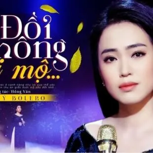 Lời bài hát Đồi thông hai mộ - Lệ Quyên | Đồi thông hai mộ Lyrics