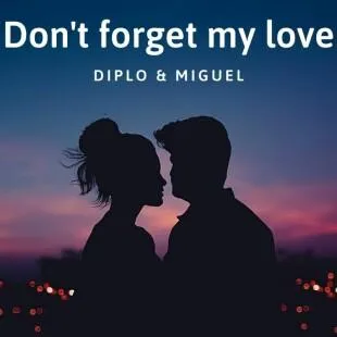 Lời bài hát Don't forget my love - Diplo & Miguel | Don't forget my love Lyrics