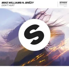 Lời bài hát Don’t Hurt – Mike Williams, Brezy