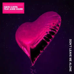 Lời bài hát Don’t Leave Me Alone – David Guetta, Anne-Marie