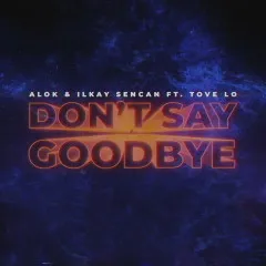 Lời bài hát Don’t Say Goodbye – Alok, Ilkay Sencan, Tove Lo