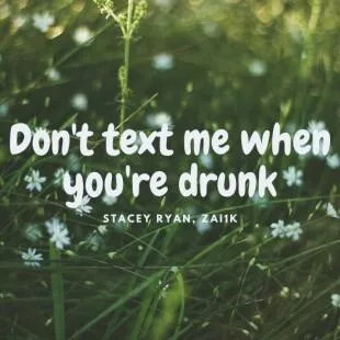 Lời bài hát Don't text me when you're drunk - Stacey Ryan, ZAI1K | Don't text me when you're drunk Lyrics