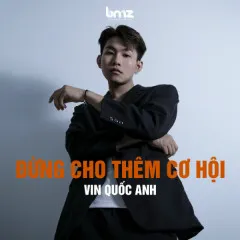 Lời bài hát Đừng Cho Thêm Cơ Hội – Vin Quốc Anh, BMZ