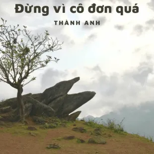 Lời bài hát Đừng vì cô đơn quá - Thành Anh | Đừng vì cô đơn quá Lyrics