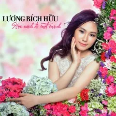 Lời bài hát Duyên Phận Ý Trời (Dance Version) – Lương Bích Hữu