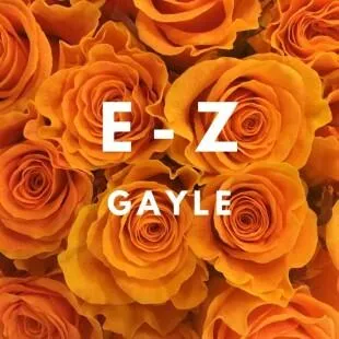 Lời bài hát E-z - Gayle | E-z Lyrics