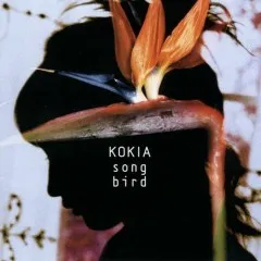 Lời bài hát ありがとう・・・ (Arigatou…) – Kokia