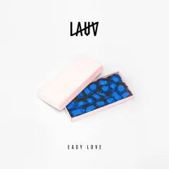 Lời bài hát Easy Love – Lauv