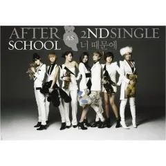 Lời bài hát 너 때문에 (Because Of You) – After School