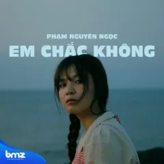 Lời bài hát Em Chắc Không – Phạm Nguyên Ngọc, BMZ