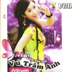 Lời bài hát Em Sợ Mất Anh – Vũ Trâm Anh