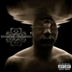 Lời bài hát Enjoy The Silence – Breaking Benjamin