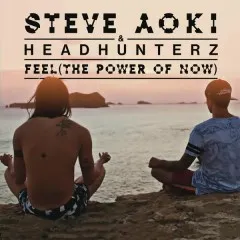 Lời bài hát Feel (The Power Of Now) – Steve Aoki, Headhunterz