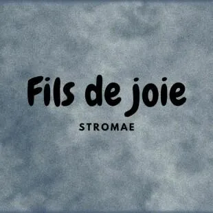 Lời bài hát Fils de joie - Stromae | Fils de joie Lyrics