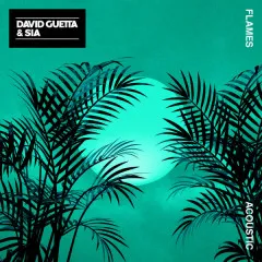 Lời bài hát Flames (Acoustic) – David Guetta, Sia