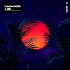 Lời bài hát Flames – David Guetta, Sia