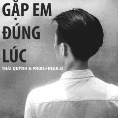 Lời bài hát Gặp Em Đúng Lúc – Thái Quỳnh, Freak