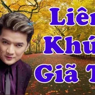 Lời bài hát Giã từ - Đàm Vĩnh Hưng | Giã từ Lyrics