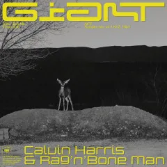 Lời bài hát Giant – Calvin Harris