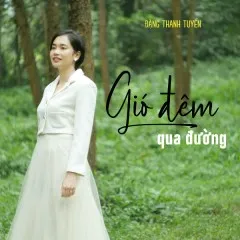 Lời bài hát Gió Đêm Qua Đường – Đặng Thanh Tuyền