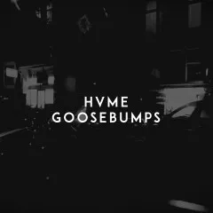 Lời bài hát Goosebumps – HVME