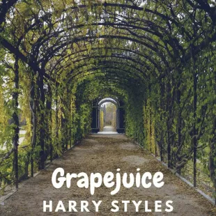 Lời bài hát Grapejuice - Harry Styles | Grapejuice Lyrics