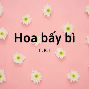 Lời bài hát Hoa bấy bì - T.R.I | Hoa bấy bì Lyrics