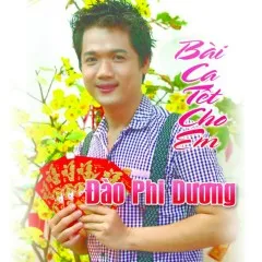 Lời bài hát Hoa Cài Mái Tóc (Remix) – Đào Phi Dương