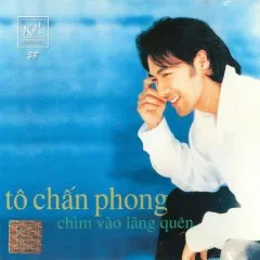 Lời bài hát Hoa Nào Anh Quên – Tô Chấn Phong