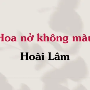 Lời bài hát Hoa nở không màu - Hoài Lâm | Hoa nở không màu Lyrics