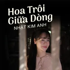 Lời bài hát Hoa Trôi Giữa Dòng – Nhật Kim Anh