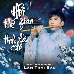 Lời bài hát Hỏi Thế Gian Tình Là Chi – Lâm Thái Bảo