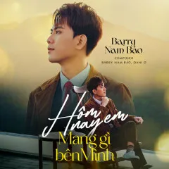 Lời bài hát Hôm Nay Em Mang Gì Bên Mình – Barry Nam Bảo