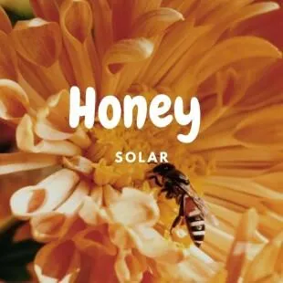 Lời bài hát Honey - Solar | Honey Lyrics