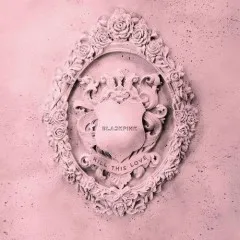 Lời bài hát Hope Not – BLACKPINK