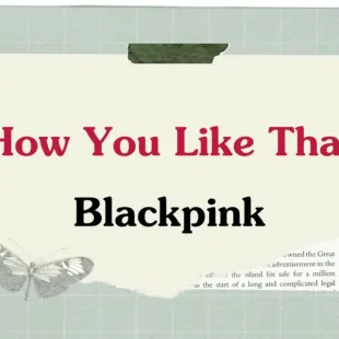 Lời bài hát How You Like That - Blackpink | How You Like That Lyrics