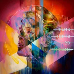 Lời bài hát Hurts 2B Human – Pink, Khalid