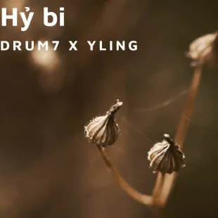 Lời bài hát Hỷ bi - Drum7 X Yling | Hỷ bi Lyrics