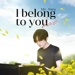 Lời bài hát I Belong To You Bae – Mr. Siro