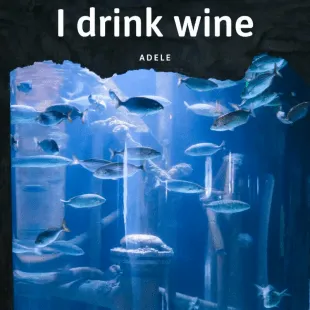 Lời bài hát I drink wine - Adele | I drink wine Lyrics