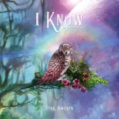 Lời bài hát I Know – Pink Sweat$