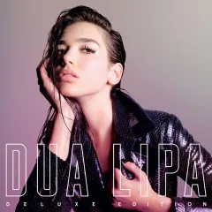 Lời bài hát IDGAF – Dua Lipa